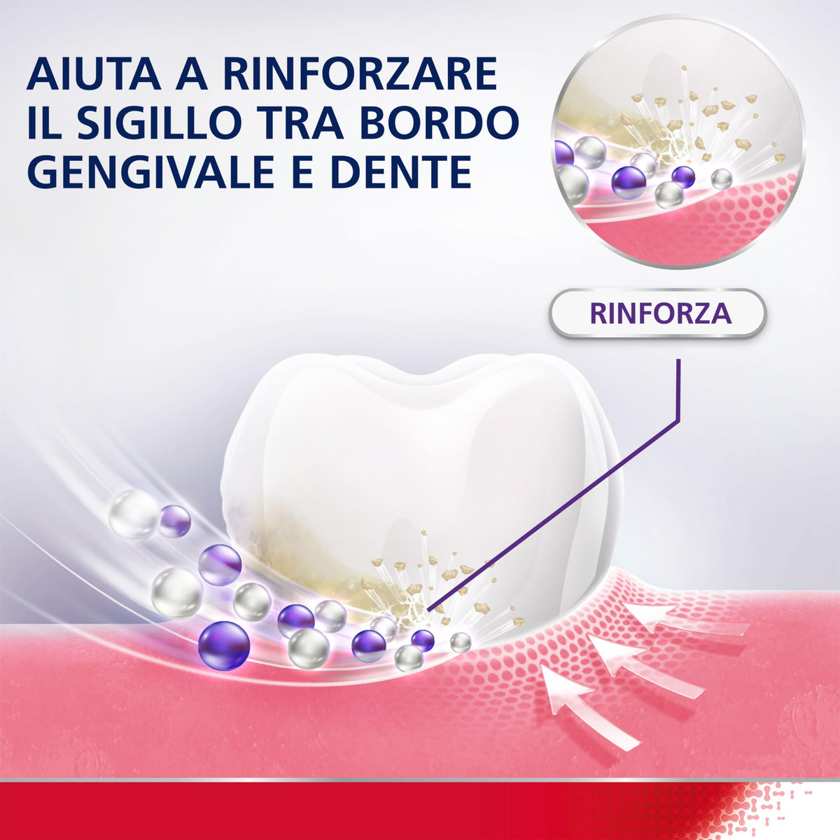 Parodontax Gengive Forti & Protette Dentifricio Quotidiano con Acido Ialuronico, Aiuta a Rinforzare il Sigillo tra bordo gengivale e Denti, Menta Fresca, 75ml