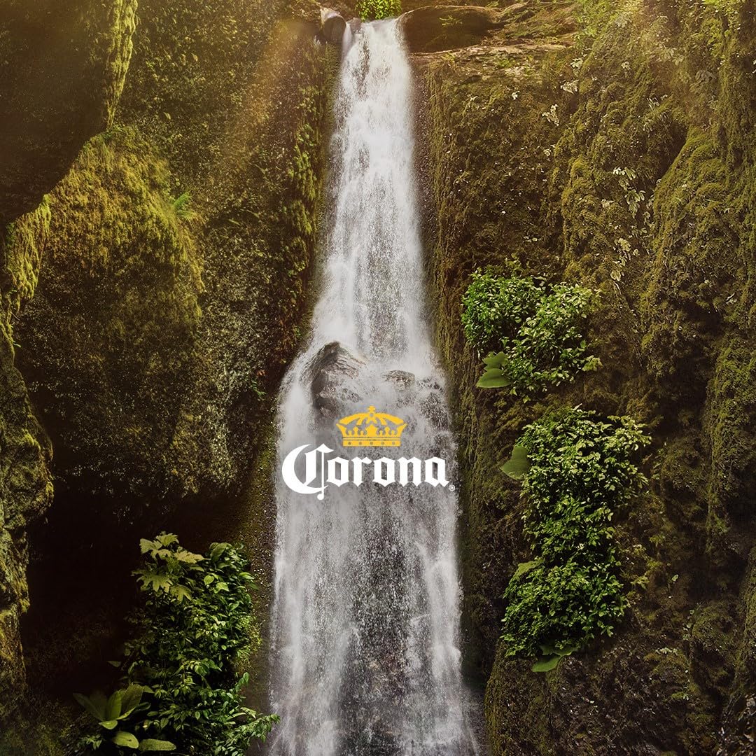 Corona Birra extra, confezione da 33 cl da 24