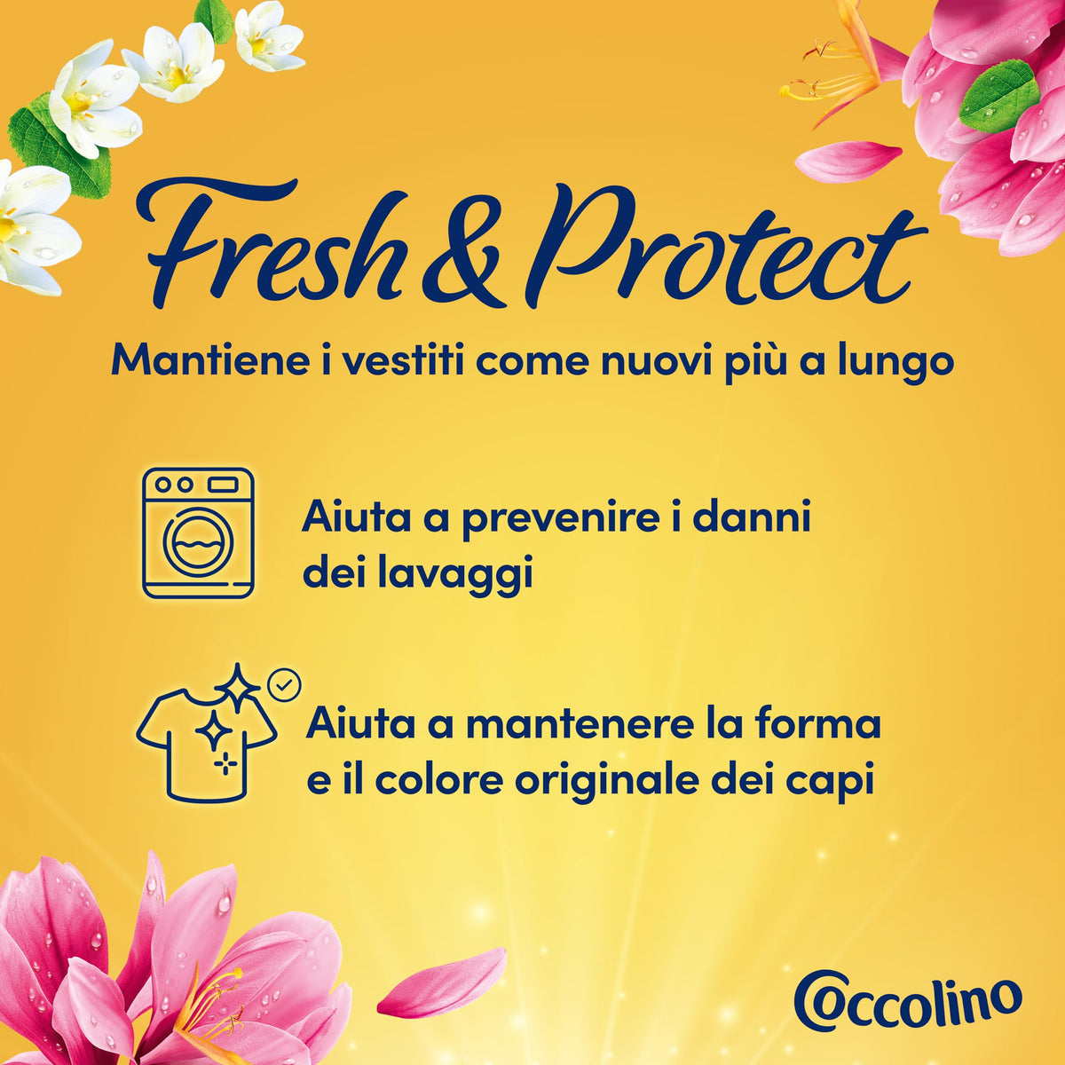 Coccolino Ammorbidente Concentrato Sandalo e Caprifoglio, Ammorbidente Lavatrice Intense Care con Tecnologia Pro-Fibre, Formato XXL Fino a 76 Lavaggi, 1750 ml