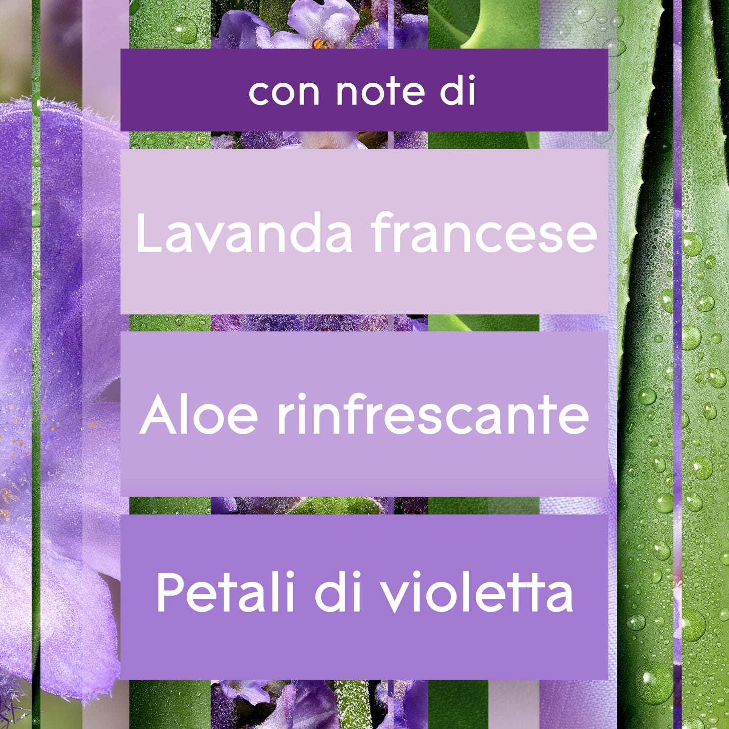 Glade Automatic Spray Ricarica, Profumatore per Ambienti, Fragranza Calm Lavender & Jasmine, Formato Scorta da 4 Ricariche da 269 ml