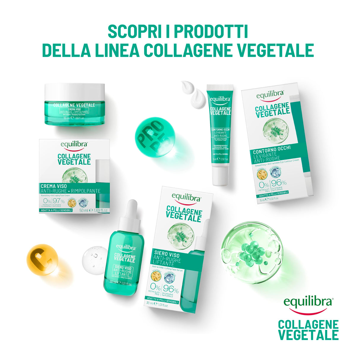 Equilibra, Collagene Vegetale Crema Viso Anti-rughe Rimpolpante, 50 ml , con Fitocollagene da Semi di Zucca e Collagen Amino Acids, Vitamina C, Pro-vitamina B5, Dermatologicamente Testato