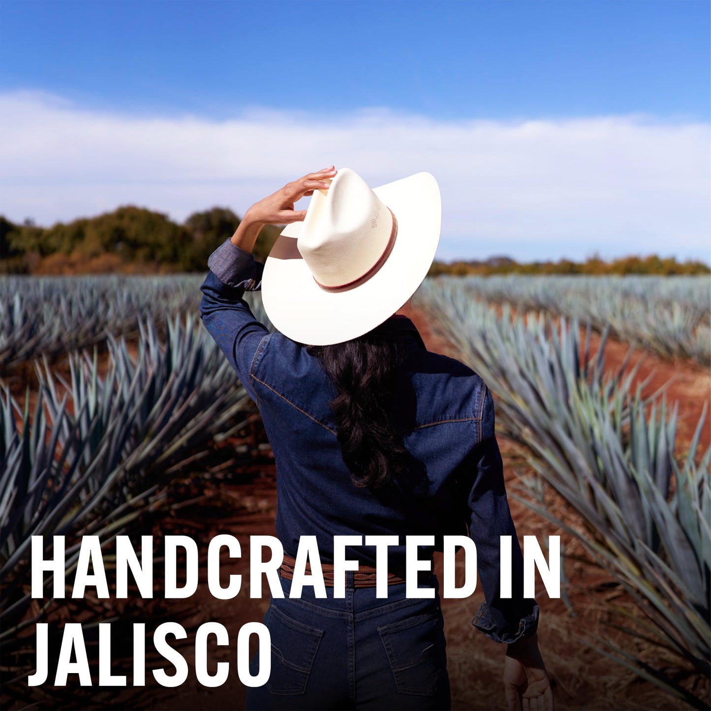 Don Julio Reposado Tequila - 700 ml