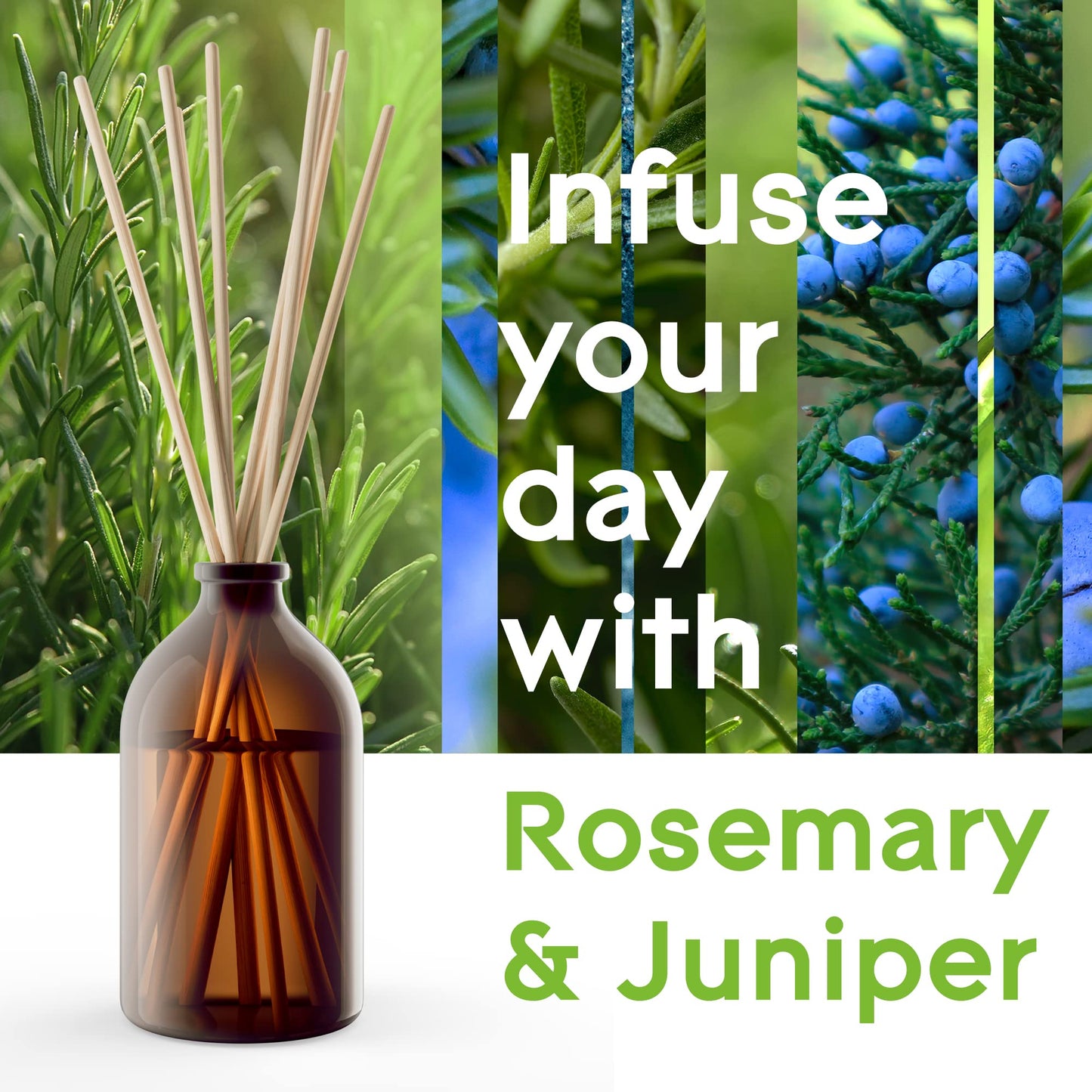 Glade® Aromatherapy- Bastoncini - Refreshing Energy Rosemary & Juniper