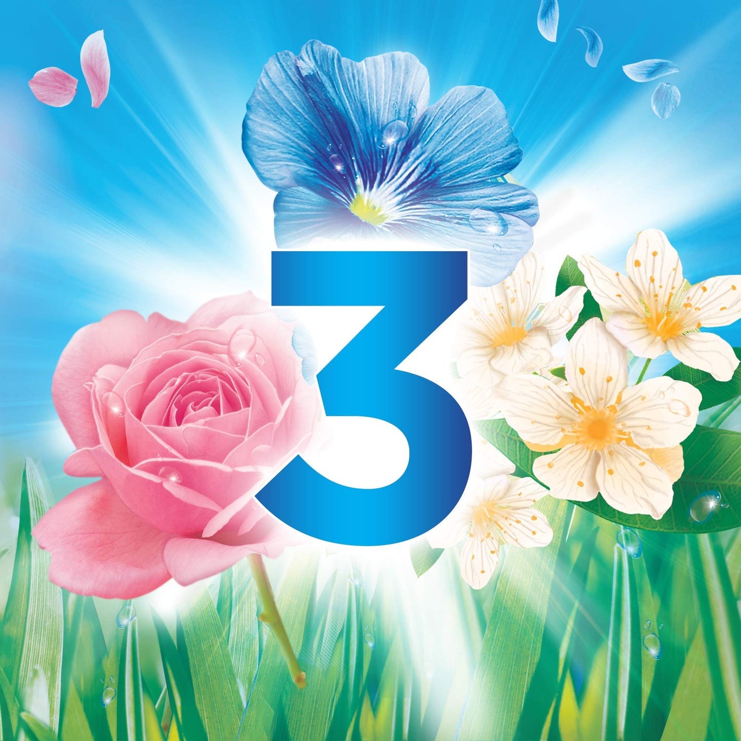 Vernel Ammorbidente per mattina fresca (6 x 72 lavaggi), profumo per bucato per 24 ore e 7 giorni, freschezza duratura con tecnologia esclusiva profumata, bottiglia riciclabile