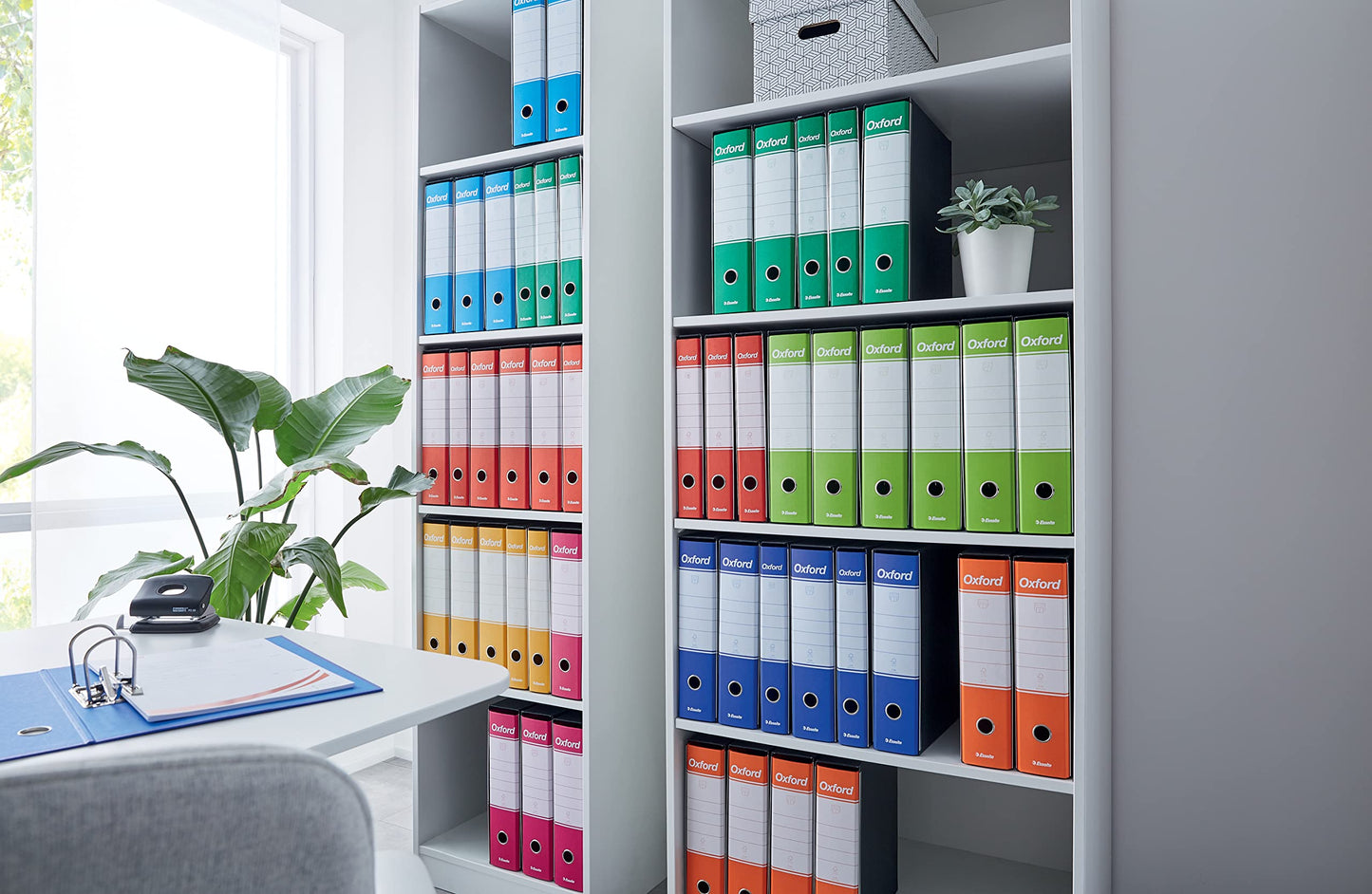 ESSELTE G84 OXFORD Registratore - f.to protocollo dorso 5 cm - Rosso - 1 Pezzo - 390784160