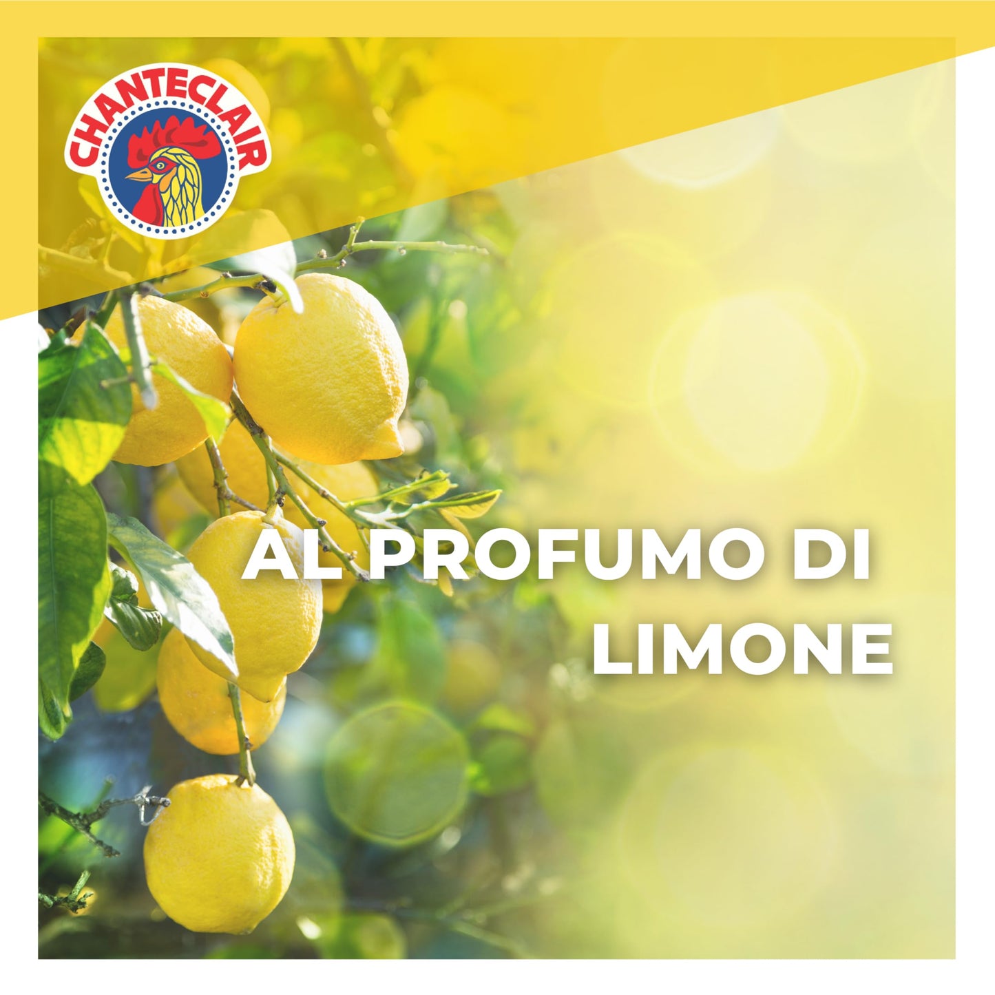 Chanteclair - Sgrassatore Universale Spray, Superpotente, Profumo di Limone, Formula Originale - 12 Flaconi da 750 ml