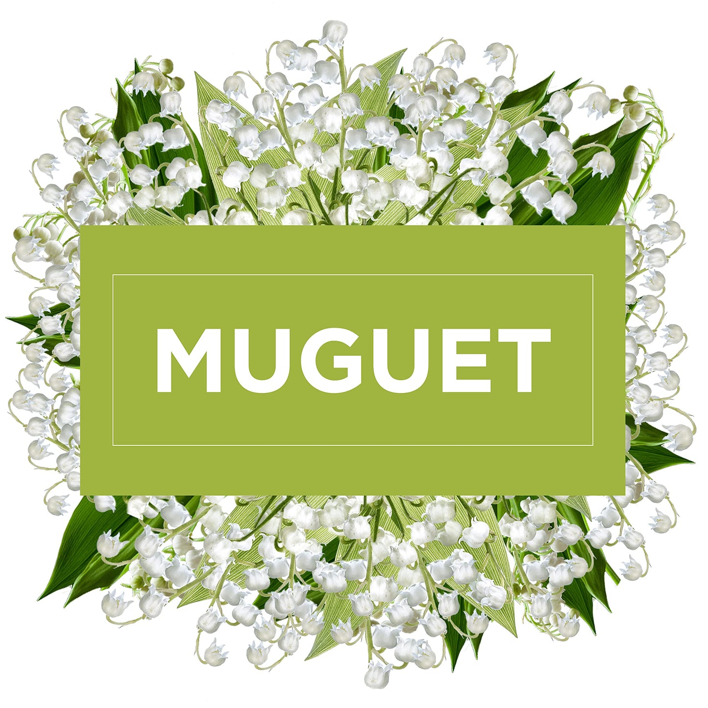 Glade Sense & Spray - Ricarica per diffusore automatico Sense & Spray Muguet