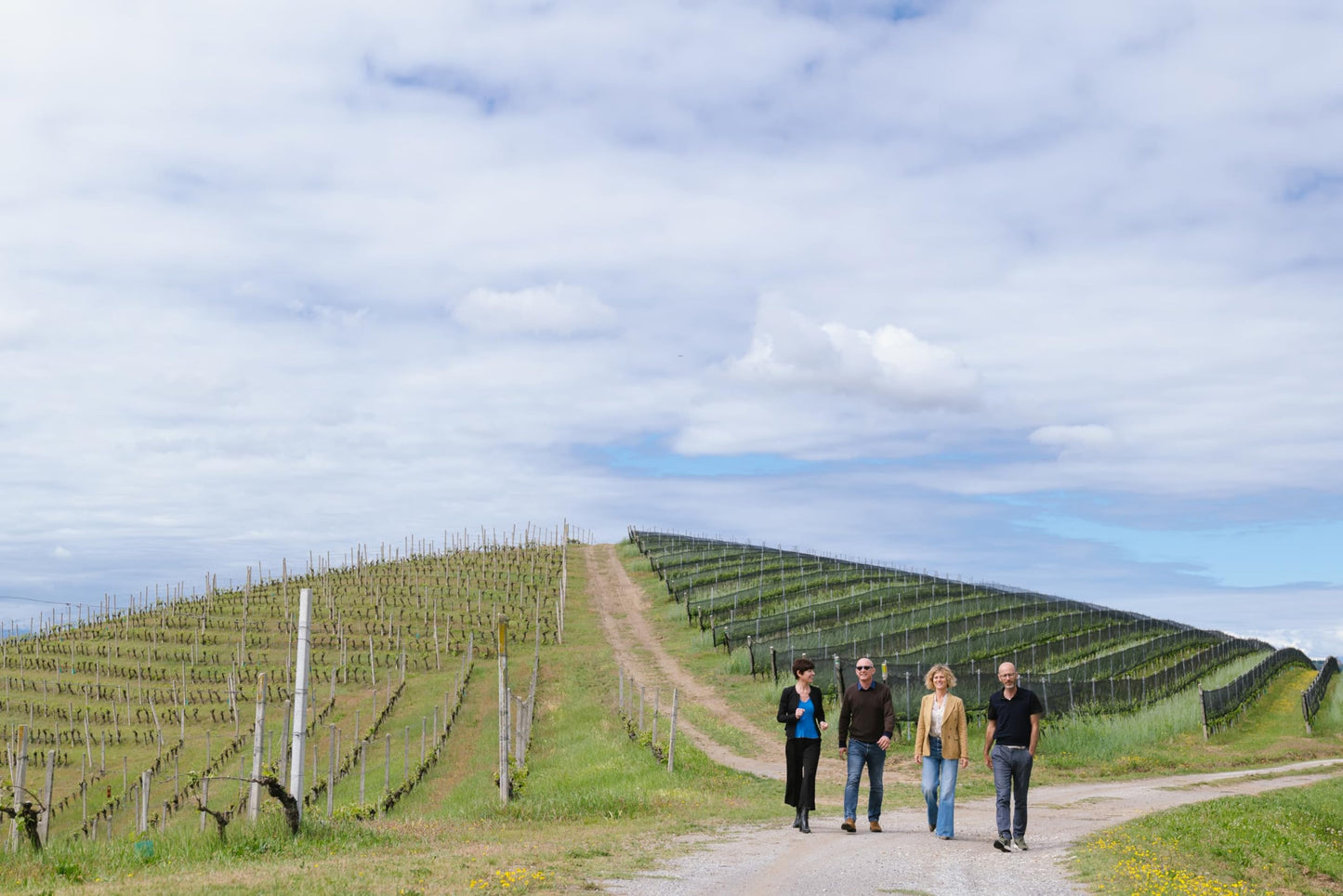 Barbera D'Alba DOC "Piana", Ceretto - 750 ml