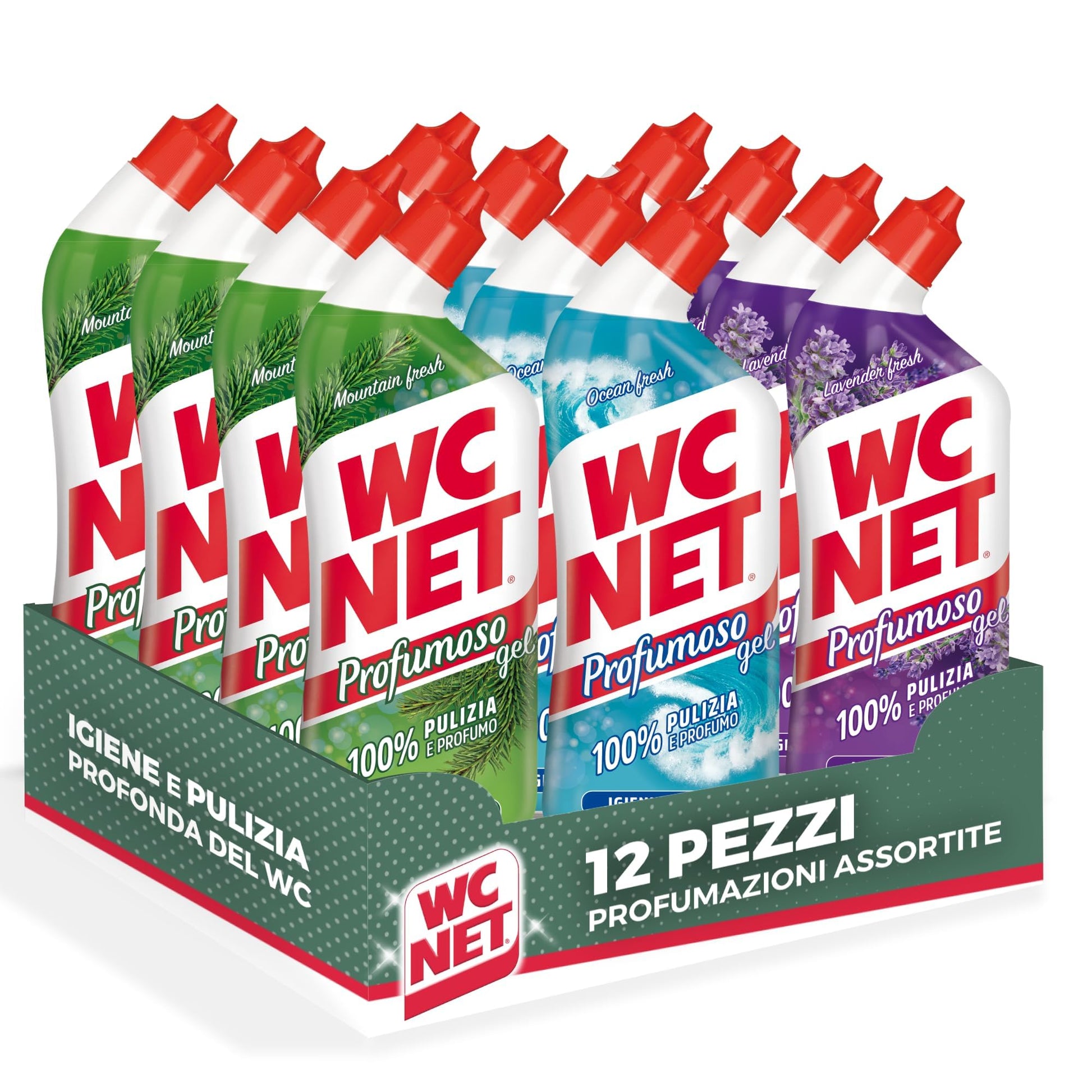 GESTIONE-TEBAVA8003650012951