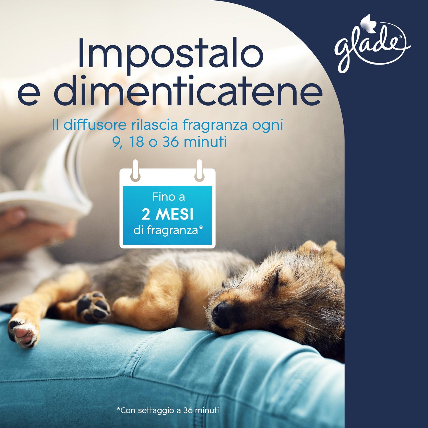 Glade Automatic Spray Ricarica, Profumatore per Ambienti, Fragranza Refreshing Air, Combatte gli odori degli animali domestici, 4 Ricariche da 269 ml