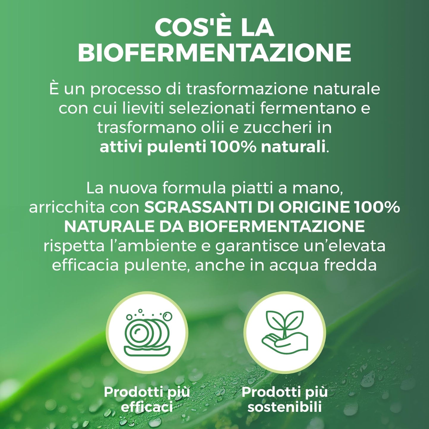Winni's - Detersivo Piatti a Mano in Ecoformato, Concentrato, Ipoallergenico, con Sgrassanti Naturali da Biofermentazione, Bergamotto e Zenzero, Materie Prime di Origine Vegetale, 900ml