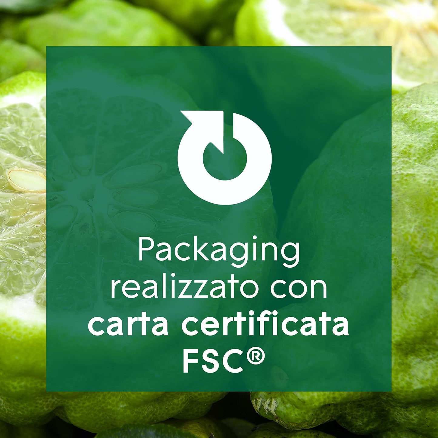 Glade Aromatherapy Diffusore di Oli Essenziali a Bastoncini, Fragranza Calm Mind Bergamotto e Citronella, 1 Confezione da 1 Diffusore da 80 ml