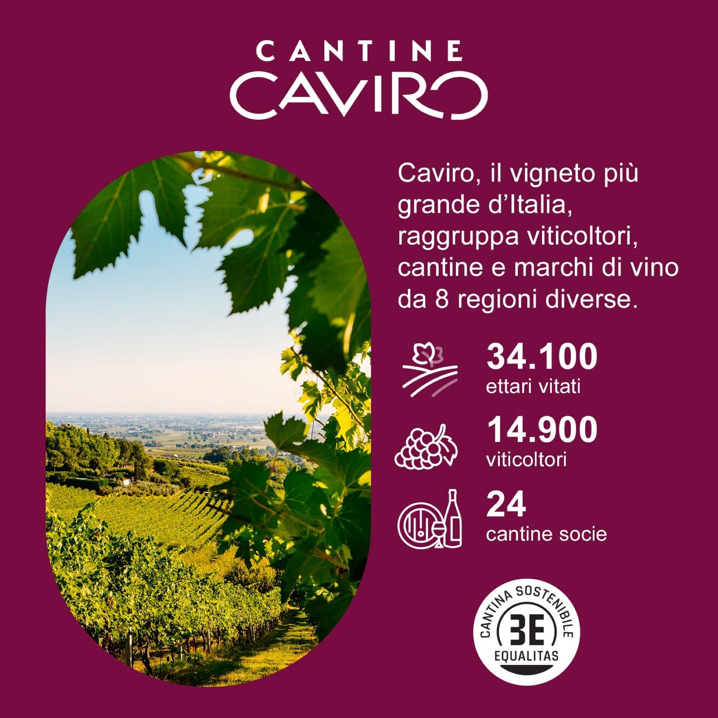 BotteBuona Vino Bianco d'Italia, Gusto Fresco e Profumo Delicato, 10.5 % Vol, Confezione con 6 Bottiglie da 750 ml