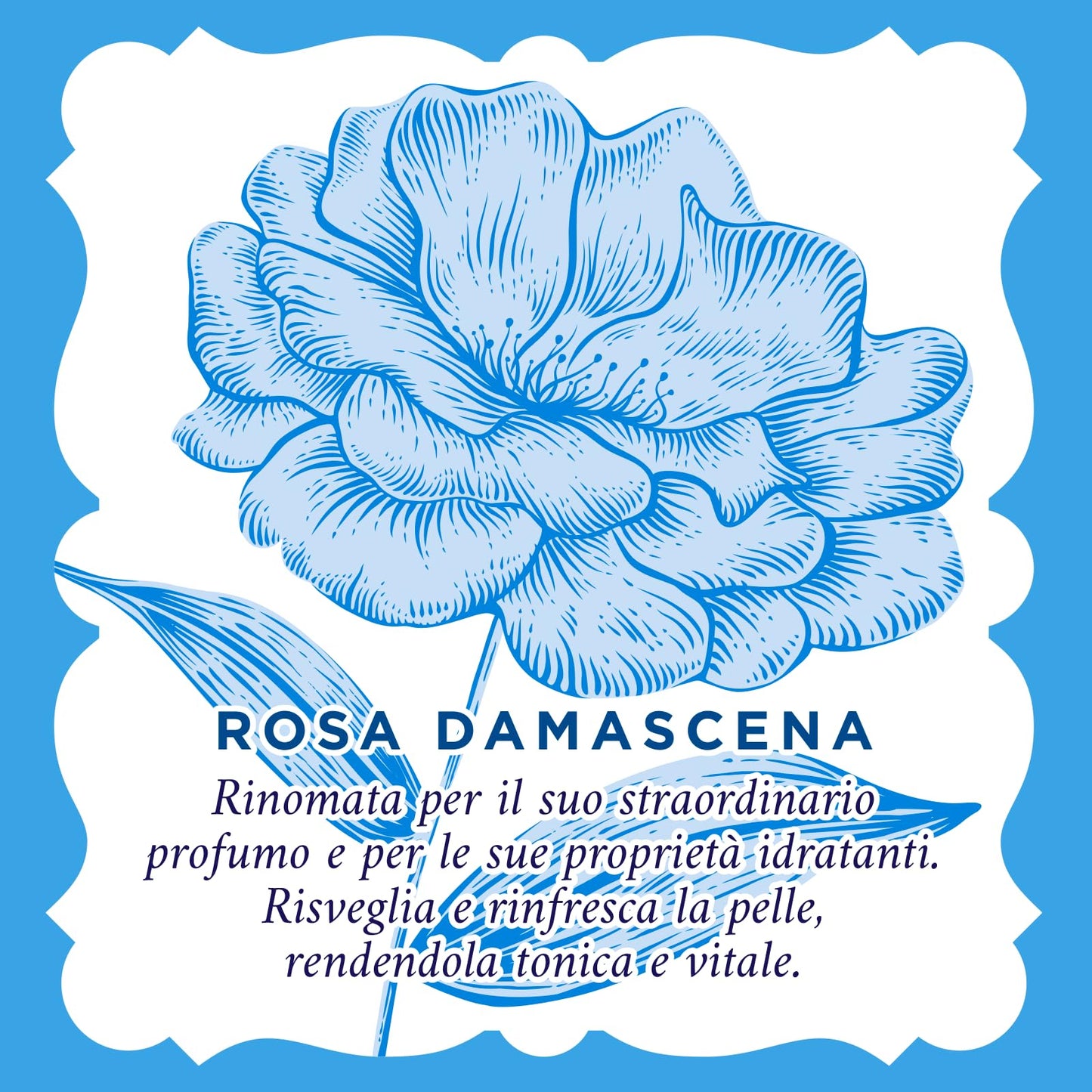 Acqua alle Rose, Salviettine Struccanti Rinfrescanti per Tutti i Tipi di Pelle, con Acqua Distillata di Rosa Damascena, Azione Struccante su Viso, Occhi e Labbra, 20 Salviettine