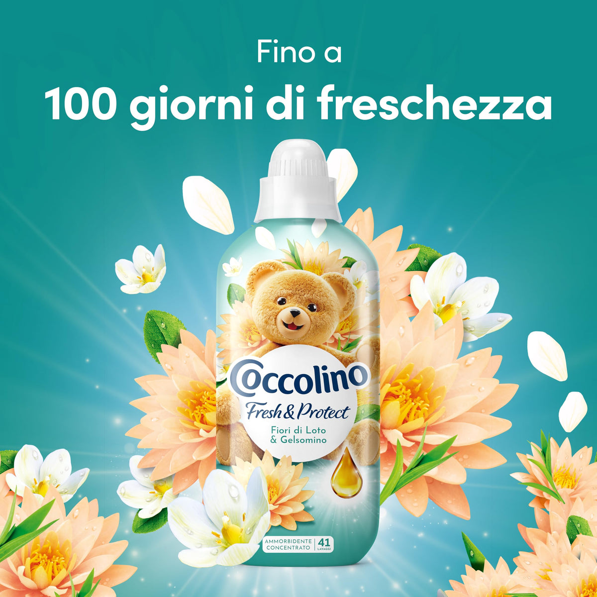COCCOLINO CONCENTRATO
