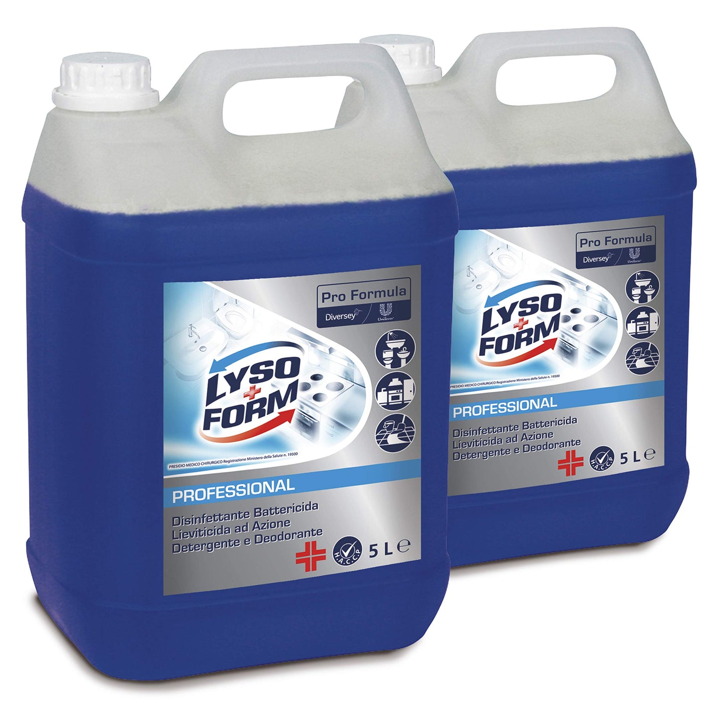 Lysoform Professional Disinfettante Battericida Lieviticida ad Azione Detergente e Deodorante Pro Formula Igienizzante Anti Odore - Tanica da 5L