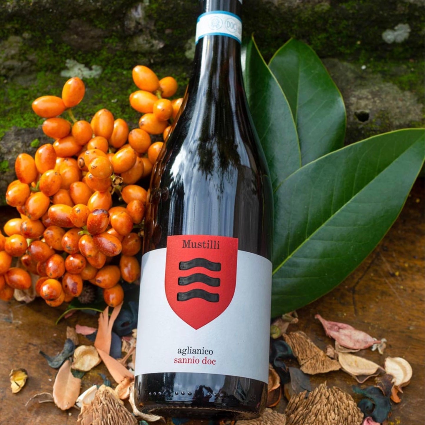 Mustilli | Aglianico del Sannio DOC 2022 | Vino Rosso 12,5% Vol. | Confezione da 6 Bottiglie da 750ml