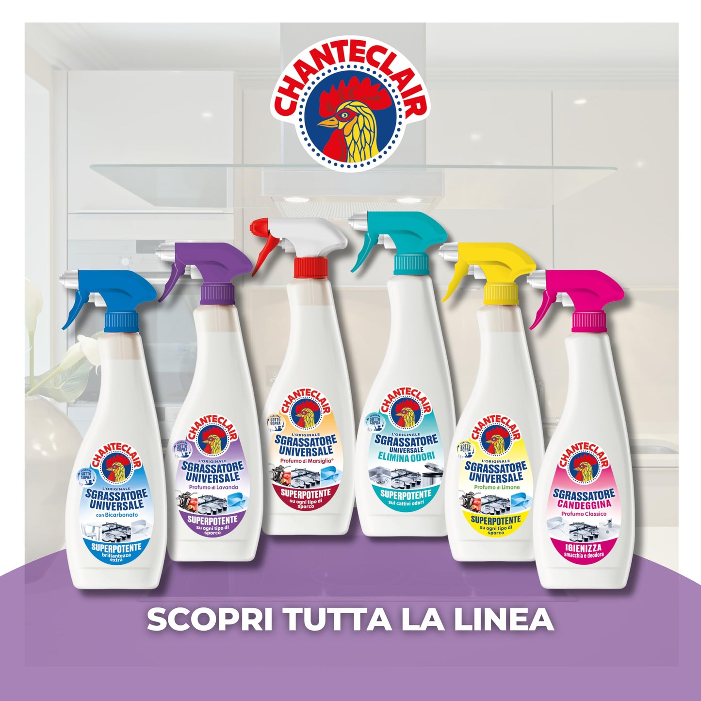 Chanteclair - Sgrassatore Universale Formato Ricarica, Superpotente, Profumo di Lavanda, Formula Originale - 12 Flaconi da 750 ml