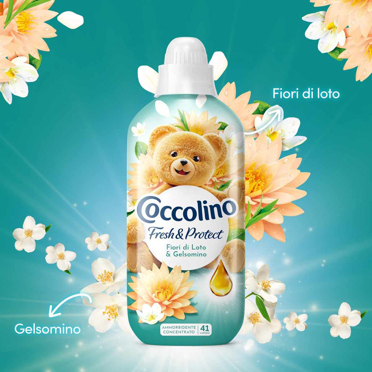 COCCOLINO CONCENTRATO