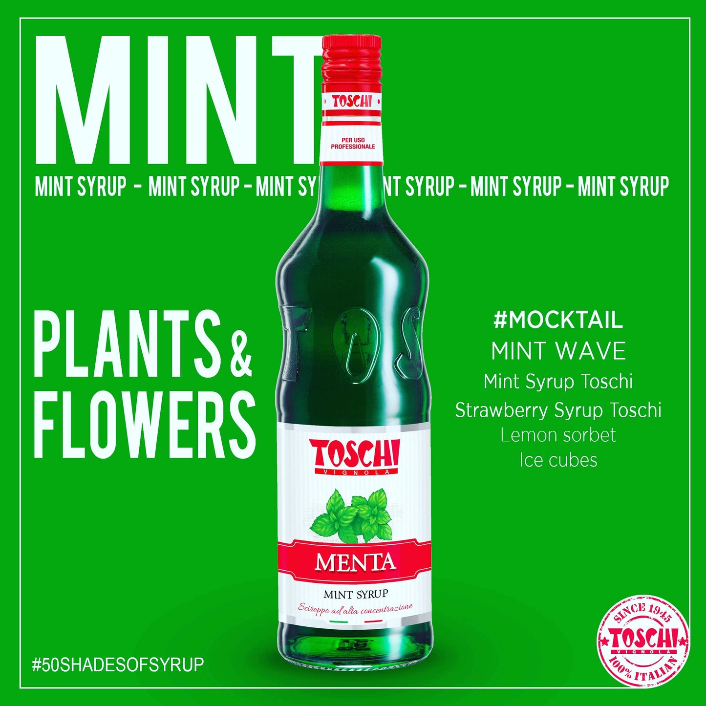 KG 1,32 SCIROPPO ALLA MENTA MINT SYRUP PER GRANITE E COCKTAIL IN BOTTIGLIA PER BAR GELATERIE E PASTICCERIE