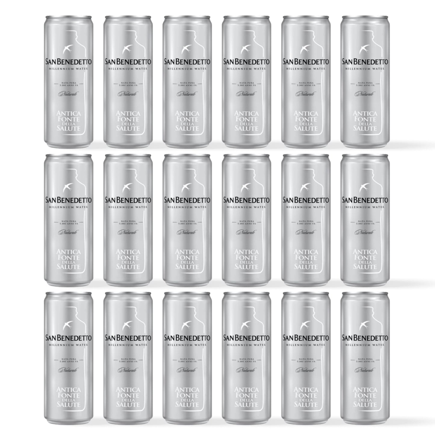 Acqua San Benedetto Minerale Naturale Antica Fonte della Salute | Premium Water | Confezione da 24 Lattine da 330ml