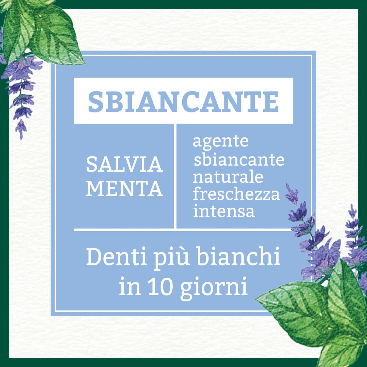 Antica Erboristeria - Dentifricio Sbiancante Naturale, Freschezza Intensa, Denti più Bianchi, Gusto Salvia e Menta - 75 ml