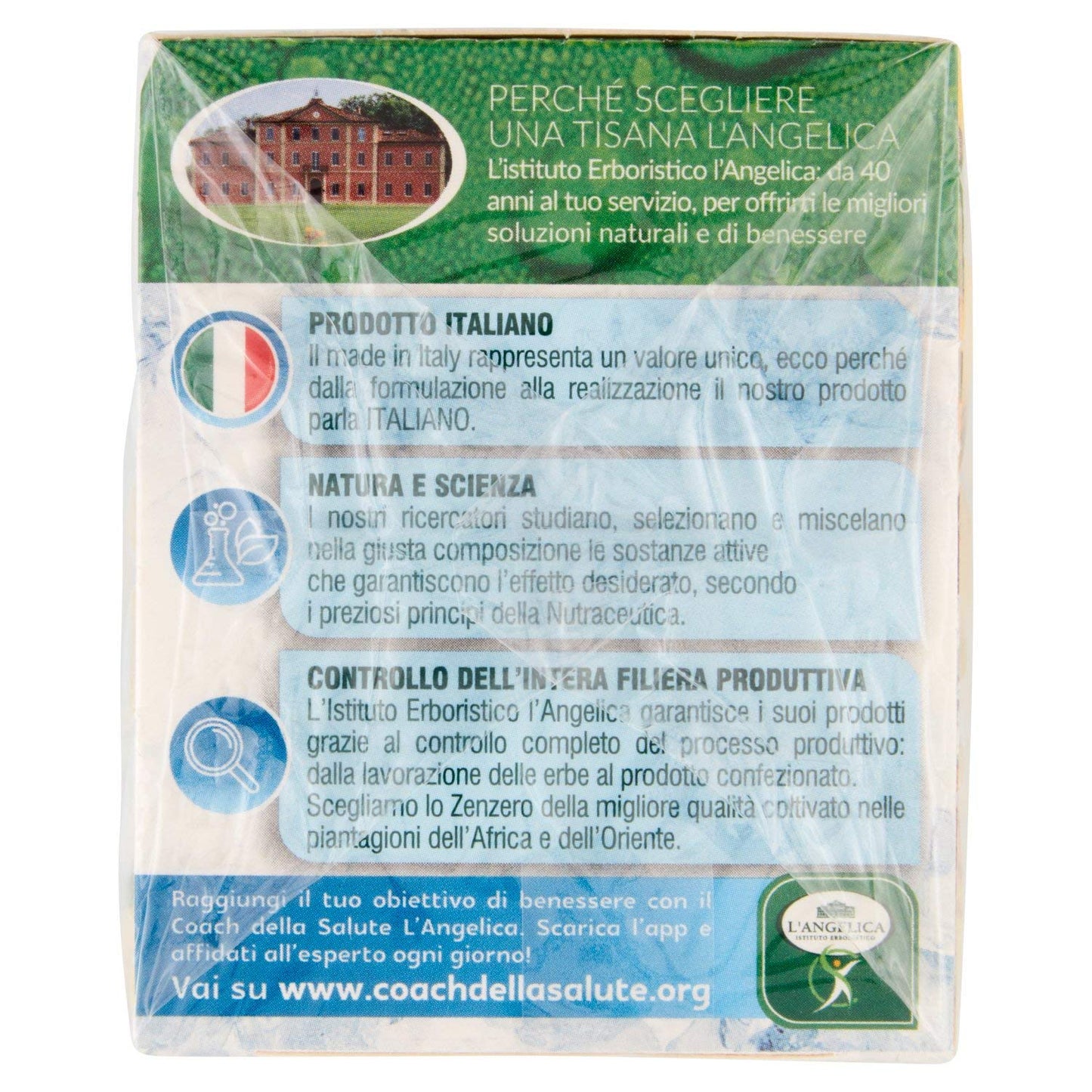 ANGELICA TISANA A FREDDO ZENZERO E LIMONE 15+3 FILTRI
