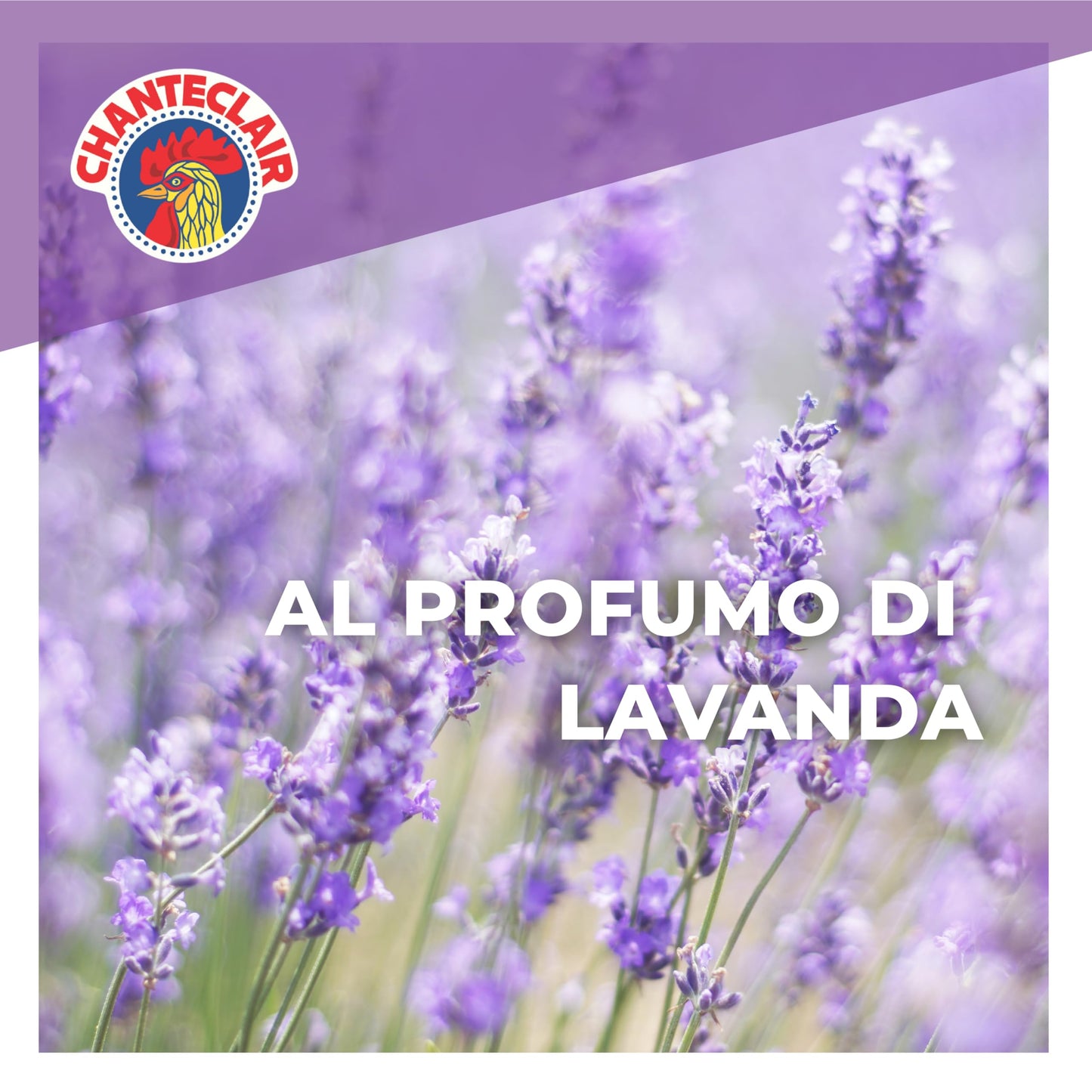 Chanteclair Sgrassatore Universale Spray, Profumo di Lavanda, 12 Flacone da 750 ml