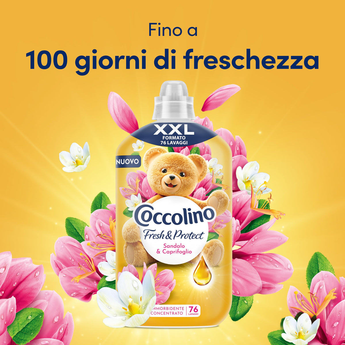 Coccolino Ammorbidente Concentrato Sandalo e Caprifoglio, Ammorbidente Lavatrice Intense Care con Tecnologia Pro-Fibre, Formato XXL Fino a 76 Lavaggi, 1750 ml