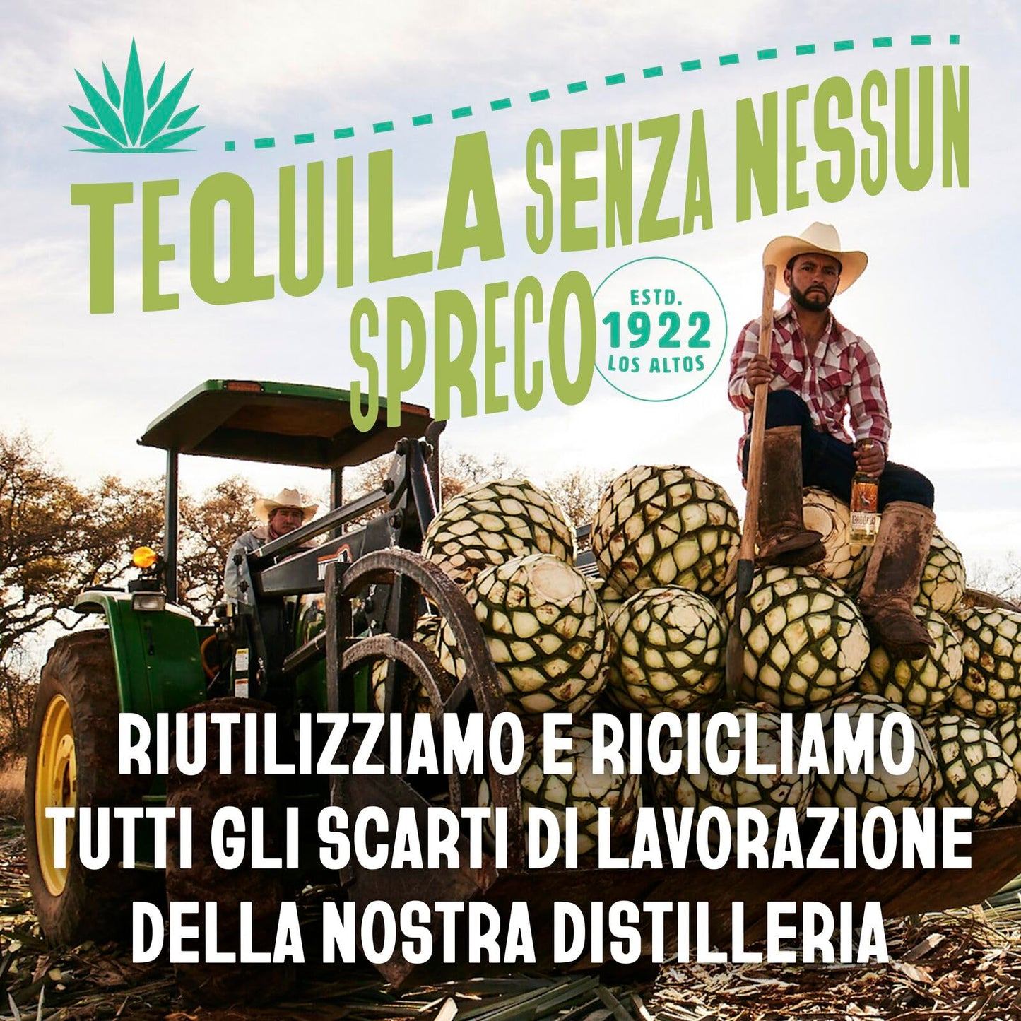 Cocktail Paloma CAZADORES pronto da bere, senza glutine e con aromi naturali, 5% ABV, 12 x 25cl / 250ml
