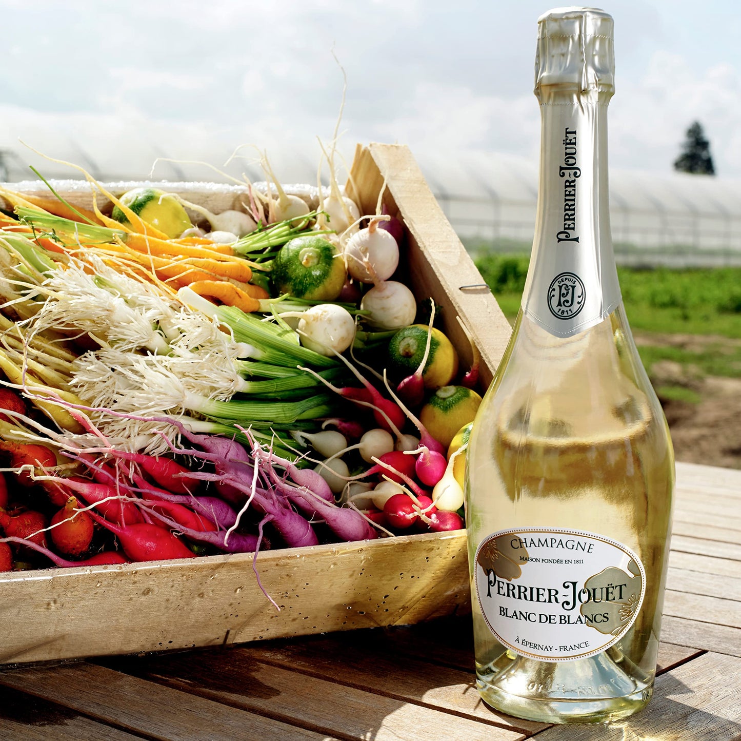 Perrier-Jouët Blanc de Blancs astucciato