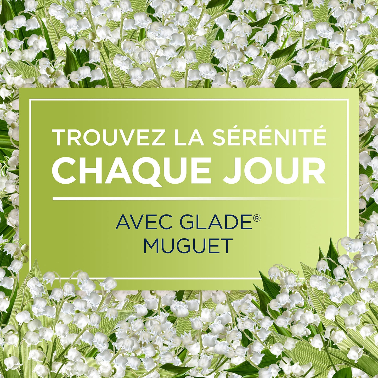 Glade Sense & Spray - Ricarica per diffusore automatico Sense & Spray Muguet