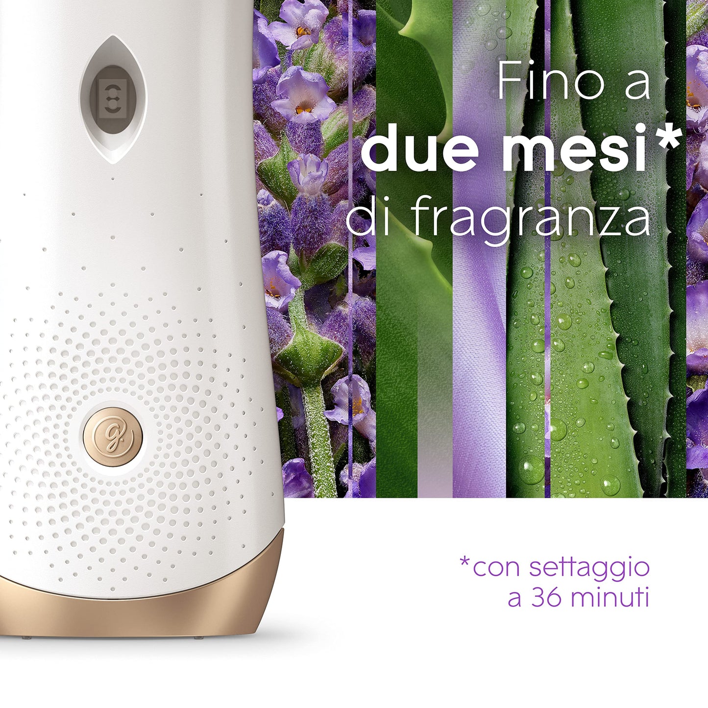 Glade Automatic Spray Ricarica, Profumatore per Ambienti, Fragranza Calm Lavender & Jasmine, Formato Scorta da 4 Ricariche da 269 ml