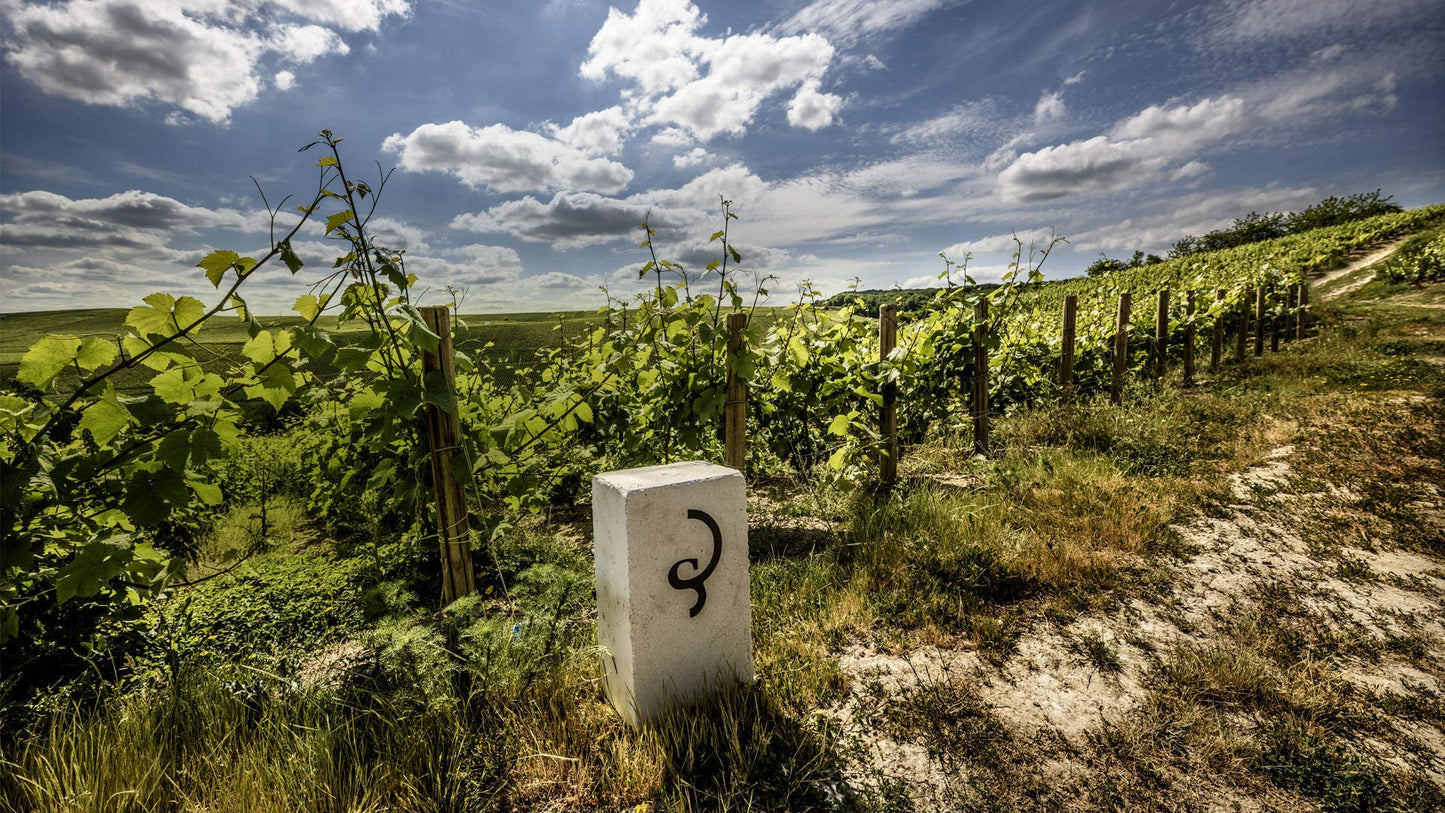 Billecart-Salmon Brut Reserve Magnum Champagne - 1500 Ml