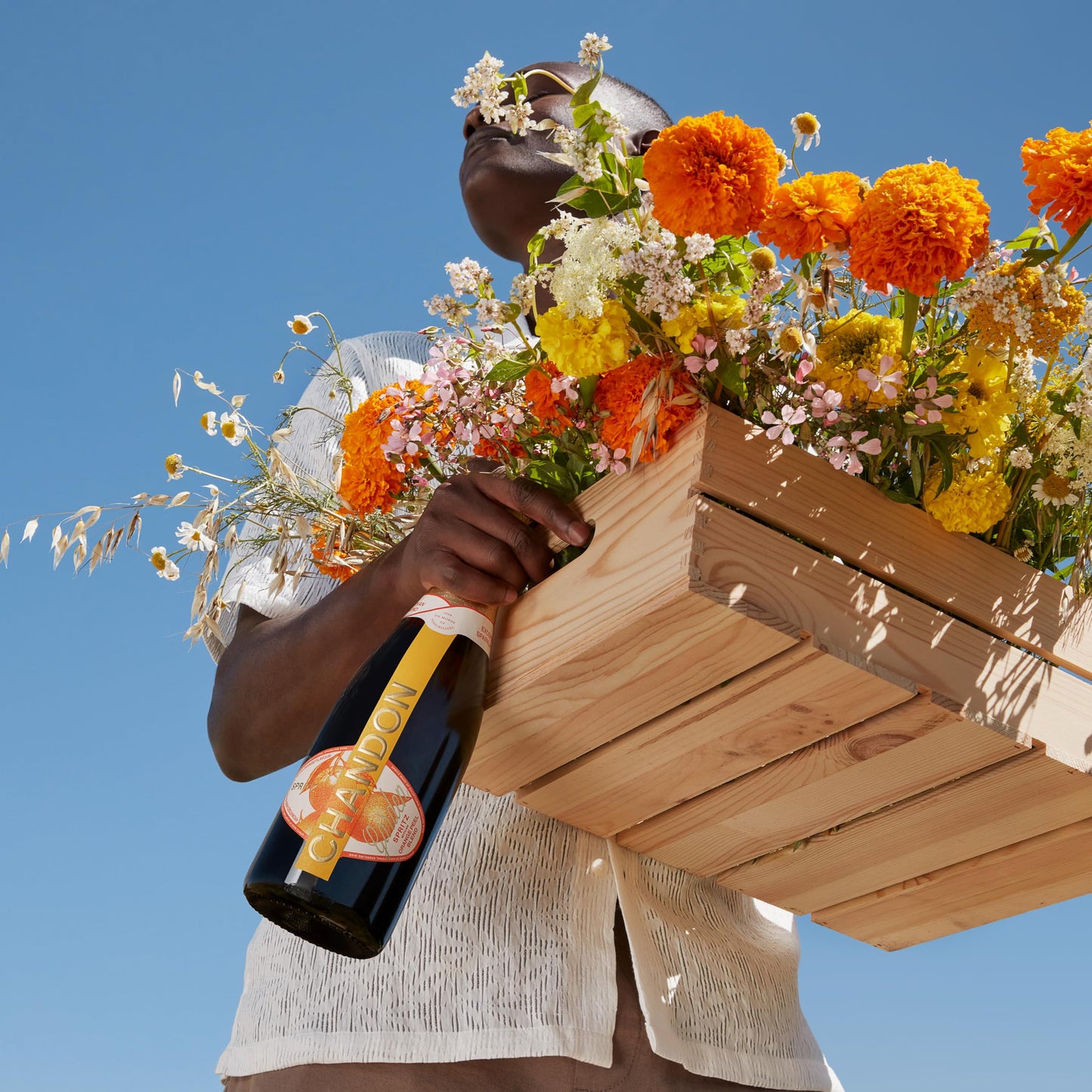 Chandon Garden Spritz 75 cl