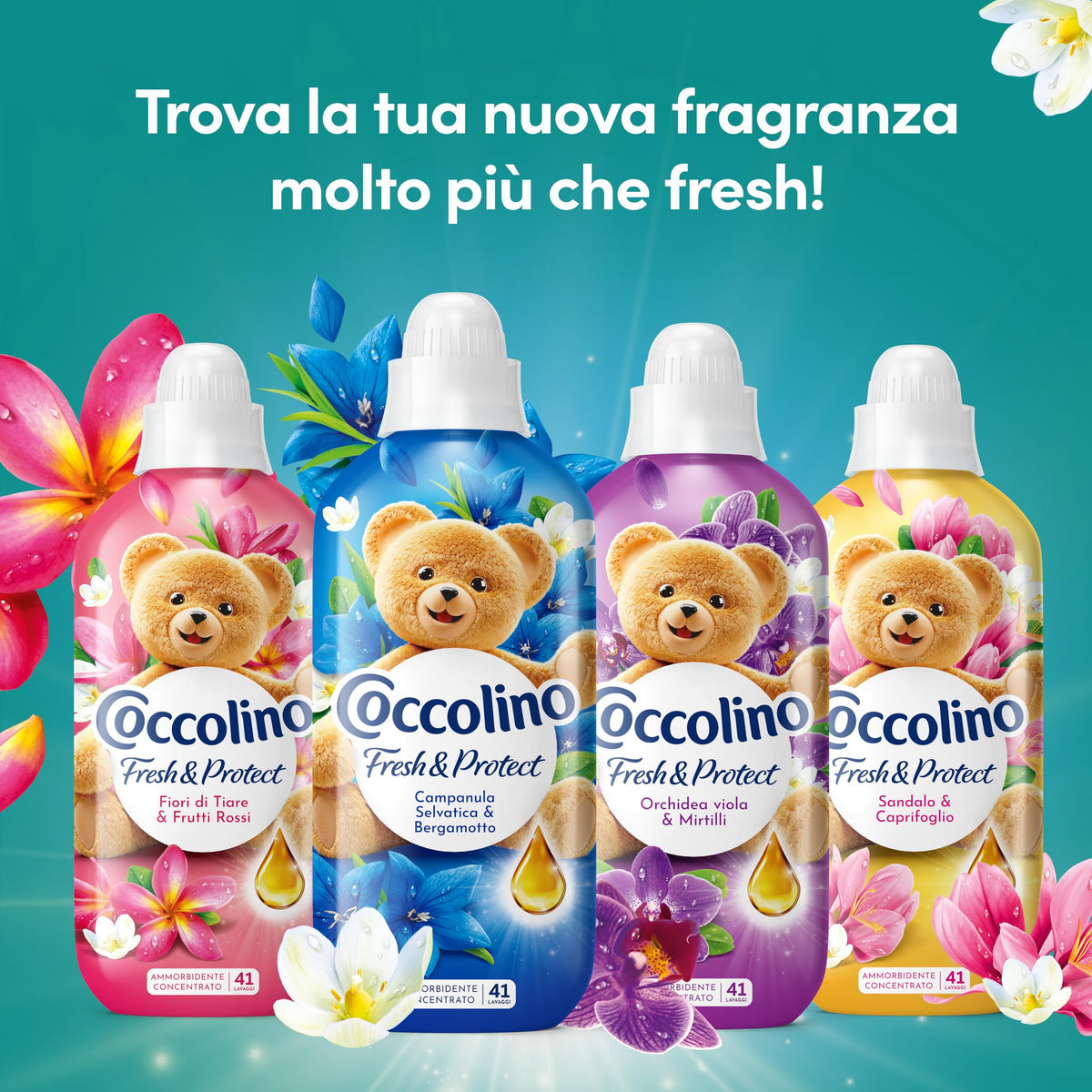 COCCOLINO CONCENTRATO