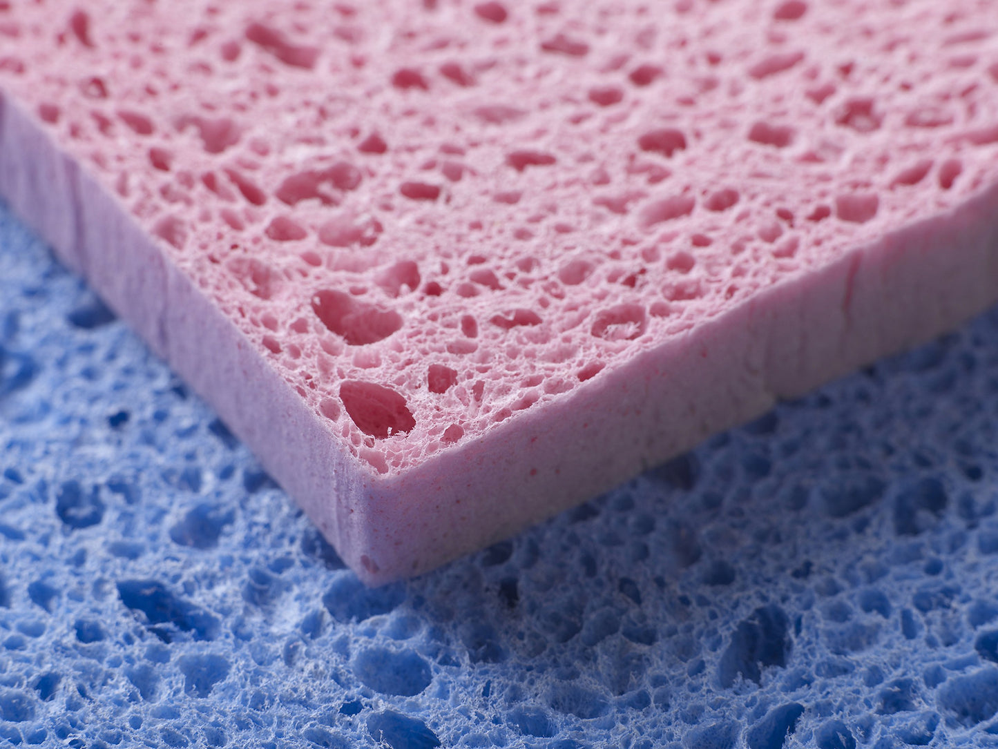 Spontex - Spugnette igieniche spesse