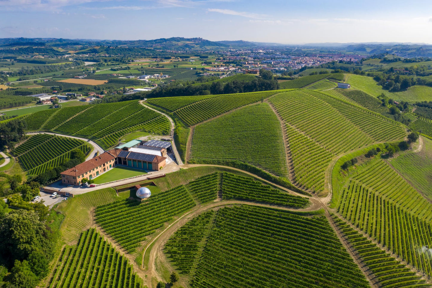 Barbera D'Alba DOC "Piana", Ceretto - 750 ml