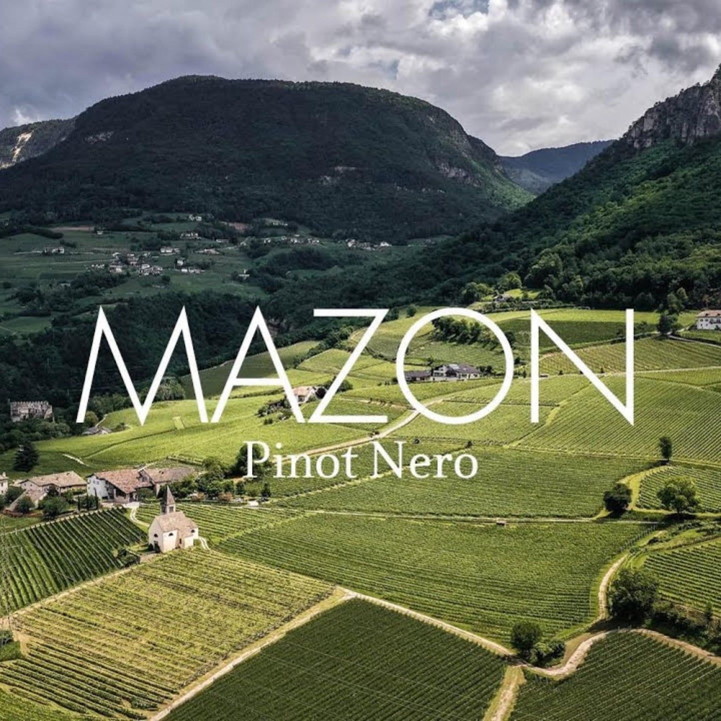 Kurtatsch Pinot Nero Riserva Mazon 2021 | Vino Rosso Riserva Vigneti delle Dolomiti IGT | Bottiglia da 750ml