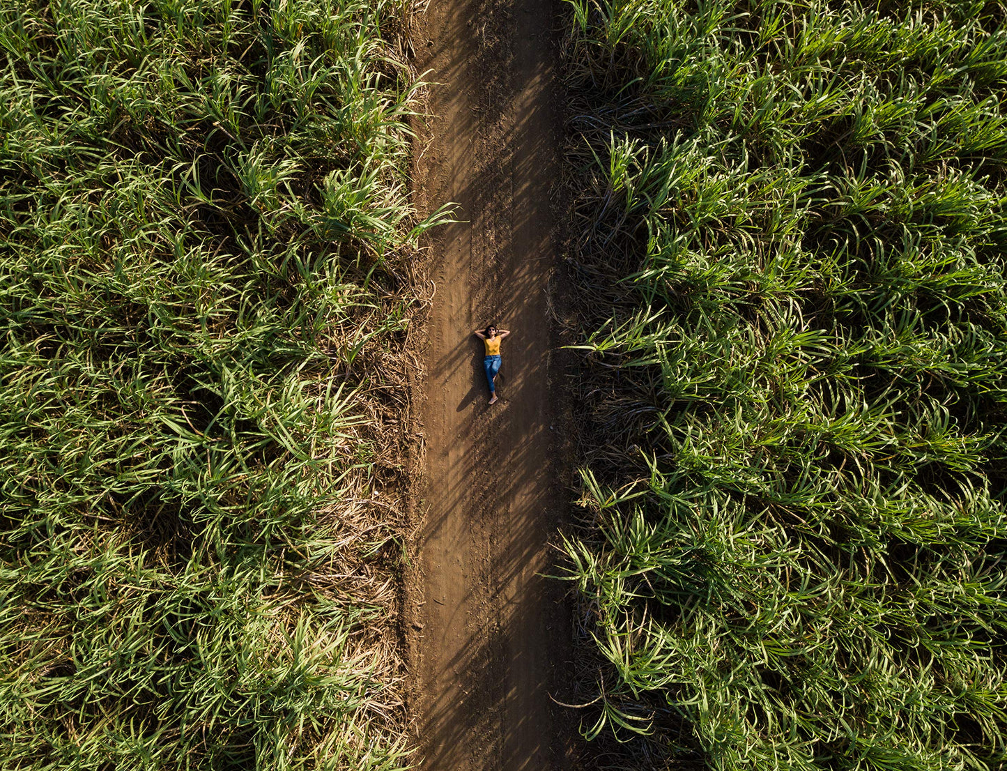 Ron Anejo Abuelo CL.70