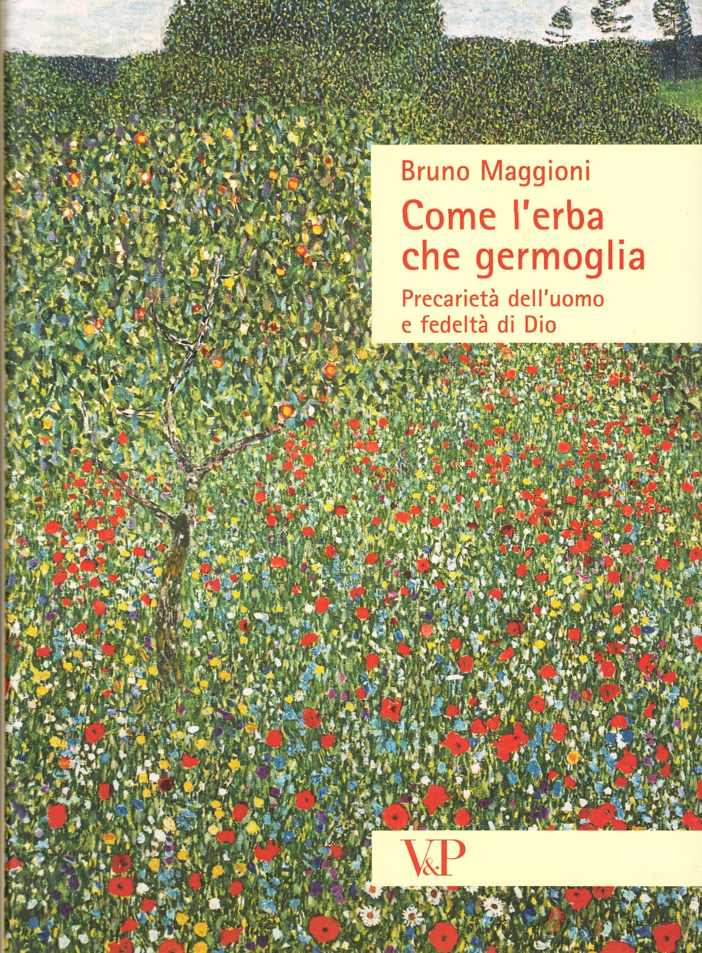 Come l'erba che germoglia. Precarietà dell'uomo e fedeltà a Dio
